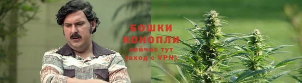 трава Няндома