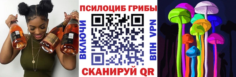 ссылка на мегу как войти  Славянск-на-Кубани  Псилоцибиновые грибы Magic Shrooms 